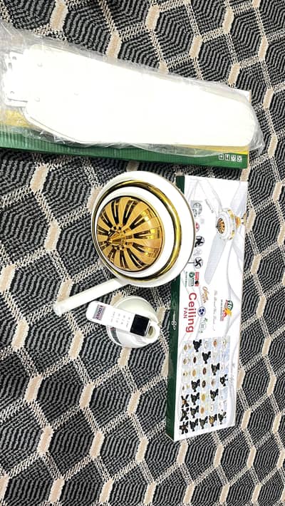 Inverter fan with remote