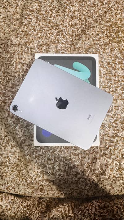 iPad mini 6