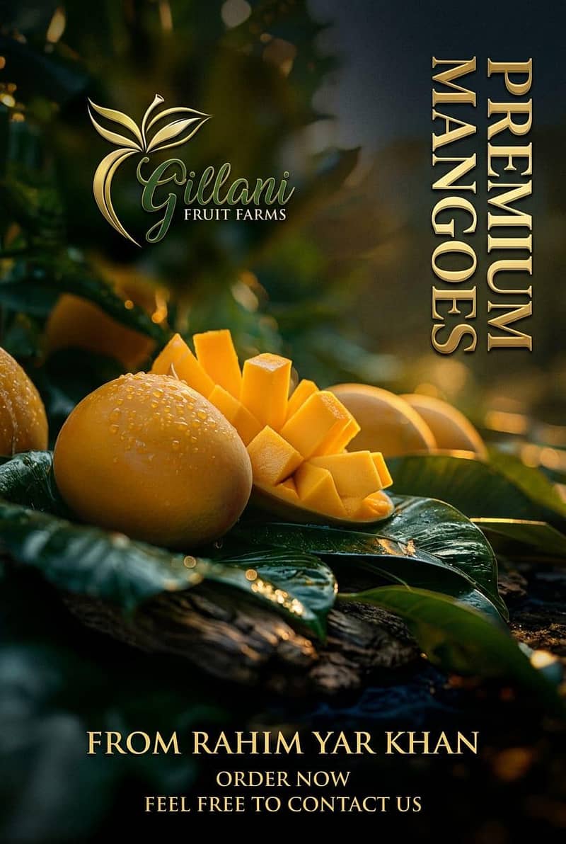 white chonca mango 4