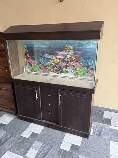 Fish Aquarium