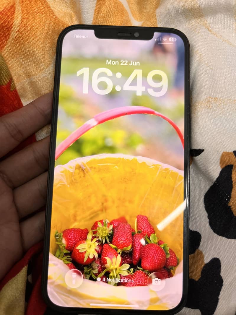 Apple iPhone 12 Pro Max 1