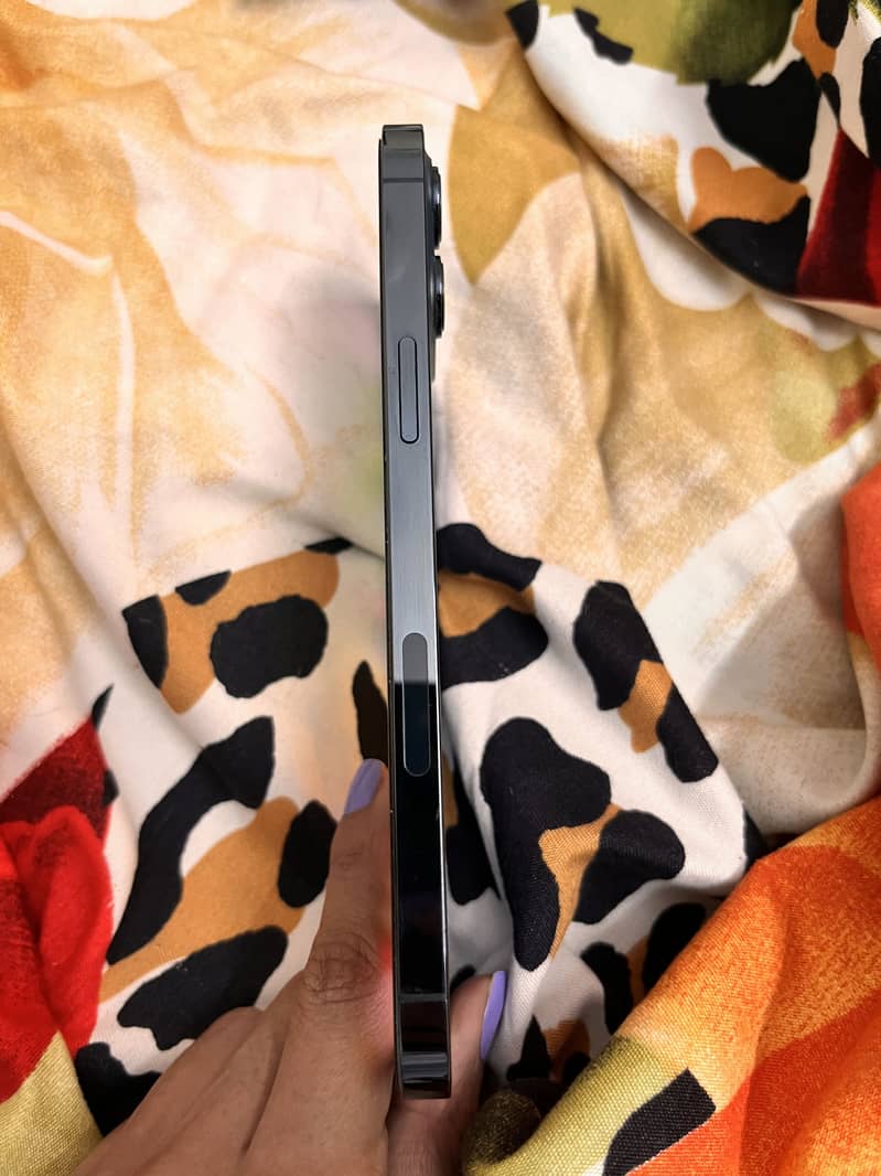 Apple iPhone 12 Pro Max 2
