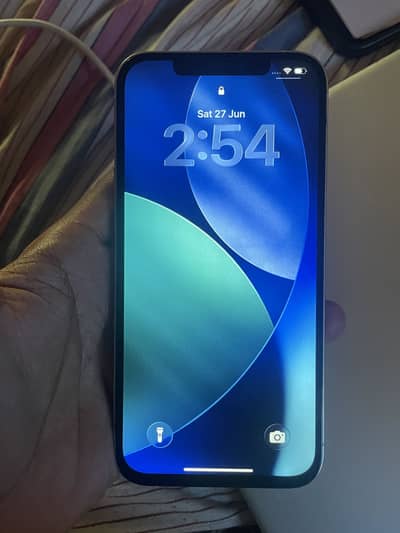 iPhone 12 pro max 256 gb factory unlock