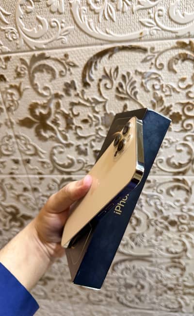 Apple iPhone 12 Pro Max Shiny Gold Colour