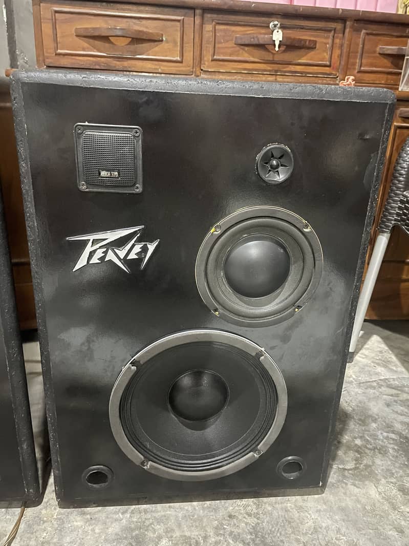 Speakers with amplifier 1