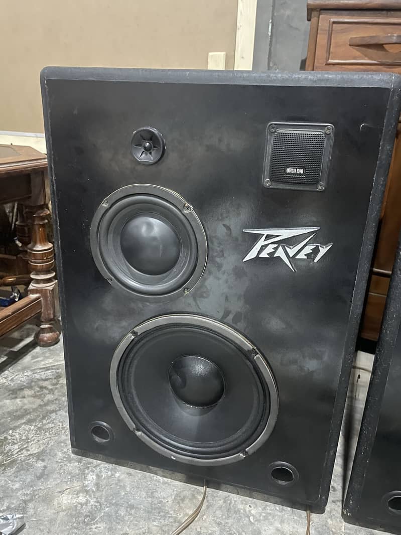 Speakers with amplifier 2