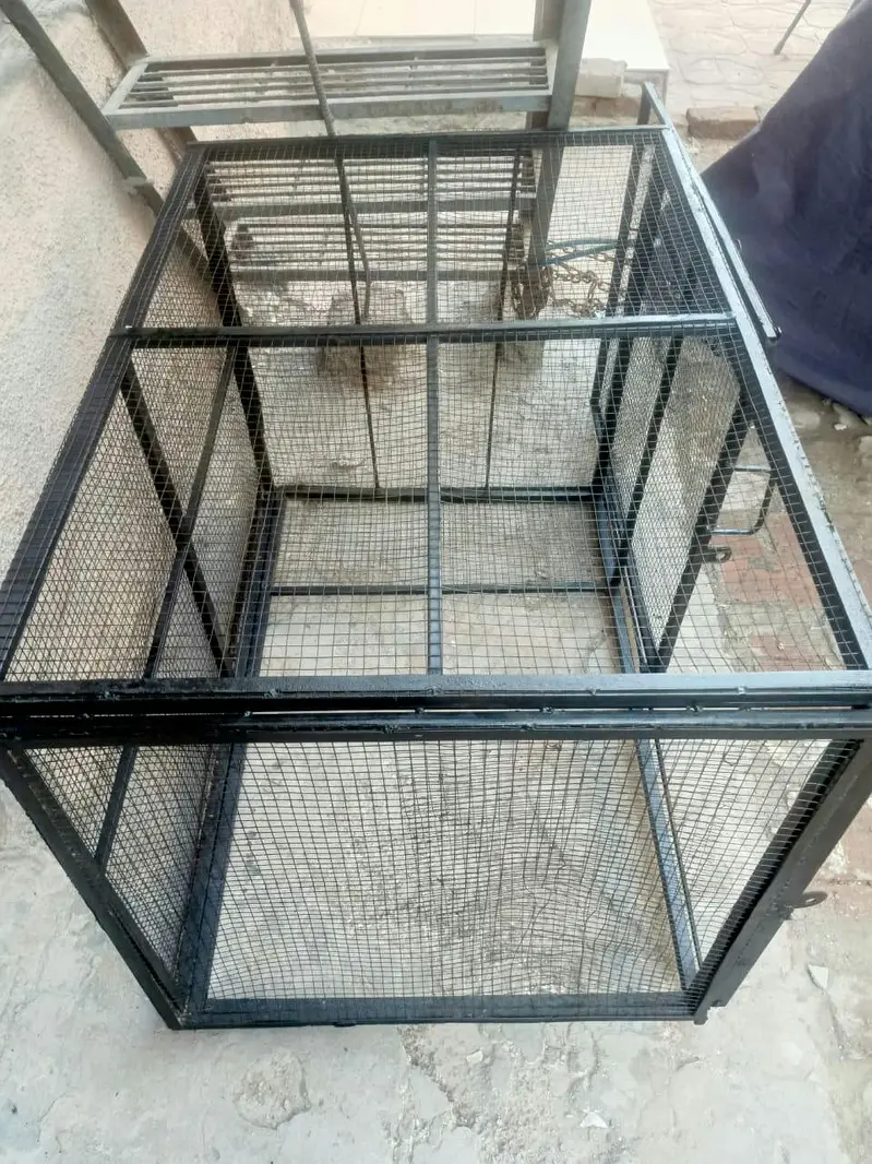 Strong Iron Cage — photo 3