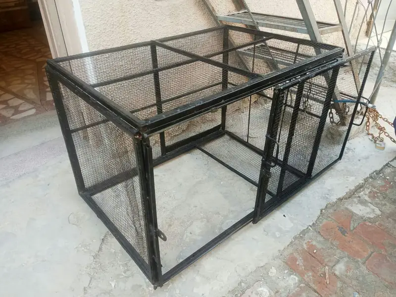 Strong Iron Cage — photo 4