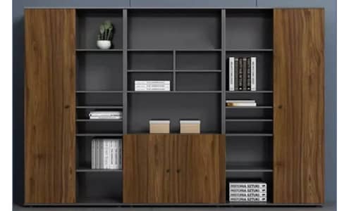 File Rack | Back Cabinat