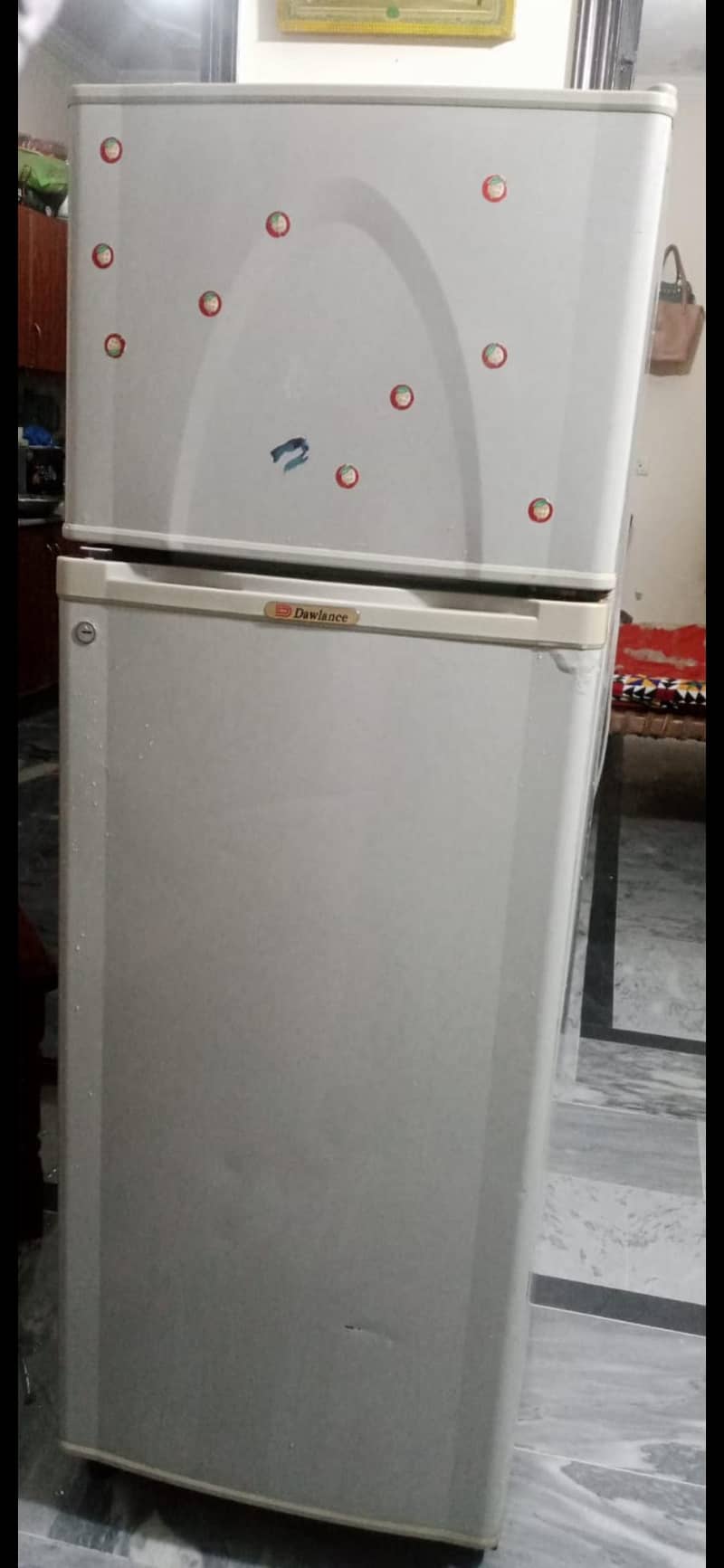 freg for sale 1