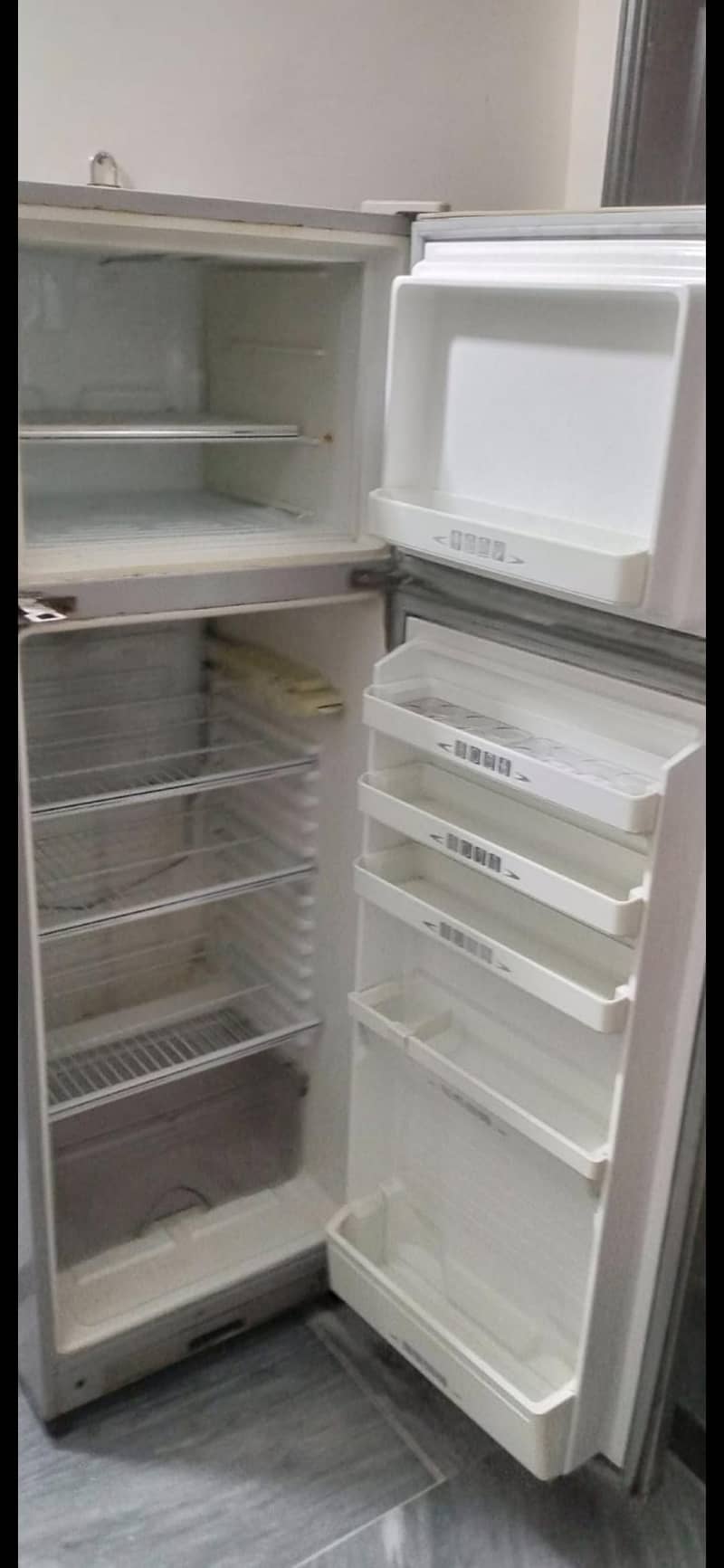 freg for sale 2