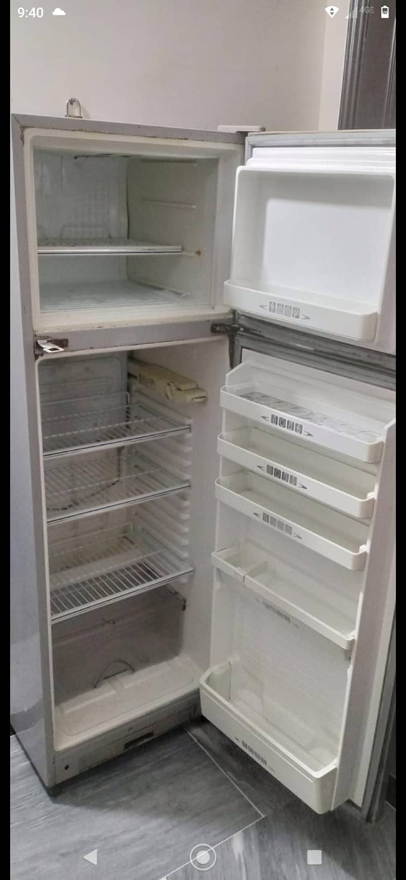 freg for sale 3
