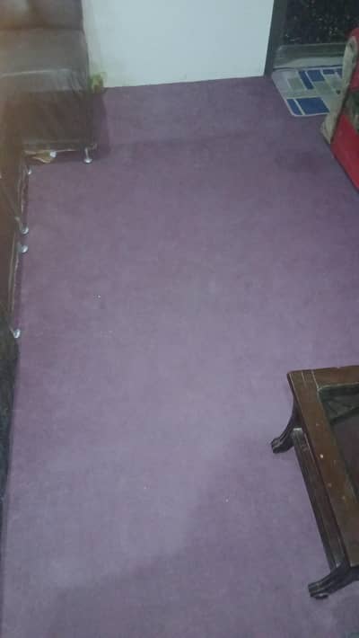 carpet for sale