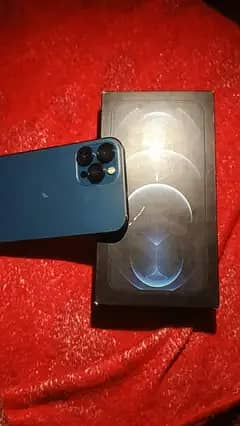 Apple iPhone 12 Pro Max 7