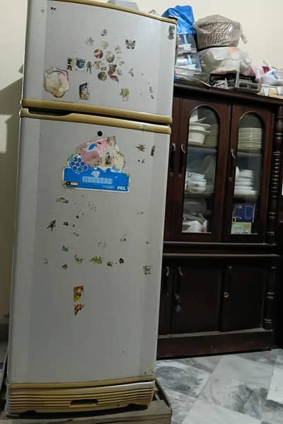 PEL Refrigerator Medium sized used