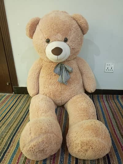 teddy bear for sale