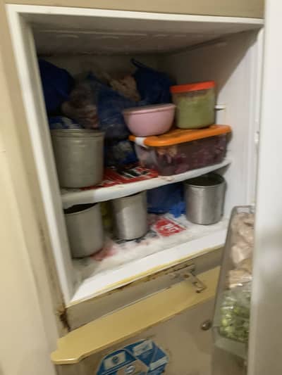 pel fridge for sale