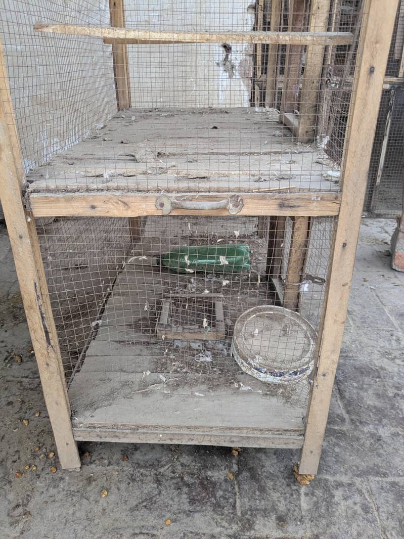 cages 1