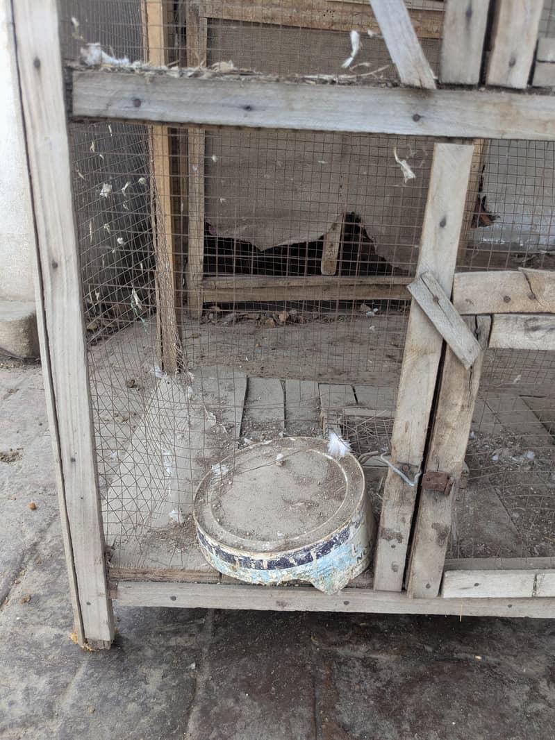 cages 2