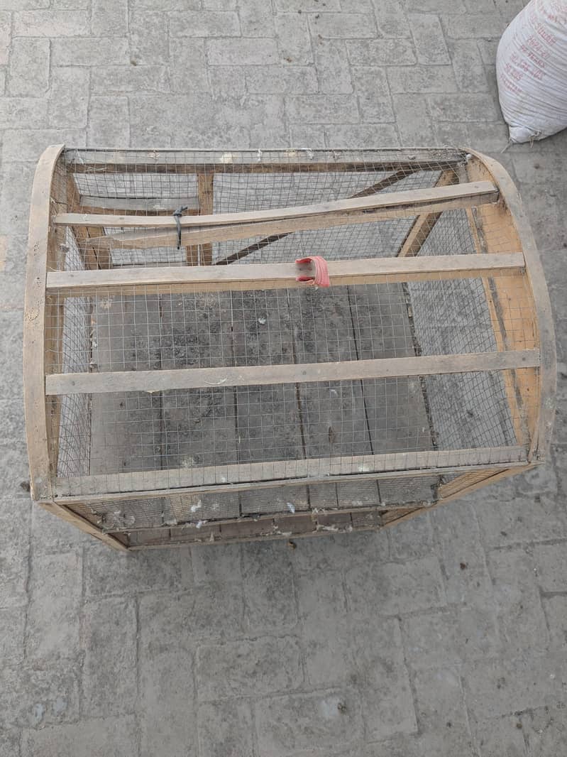 cages 5
