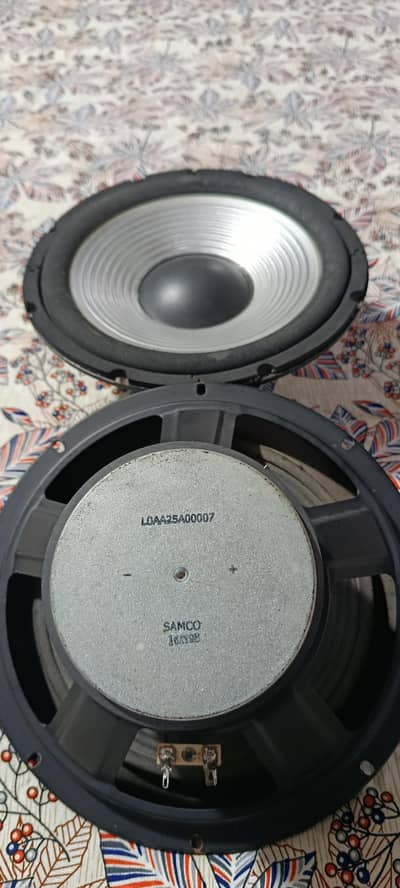 10" Inch Panasonic Woofer Pair Original
