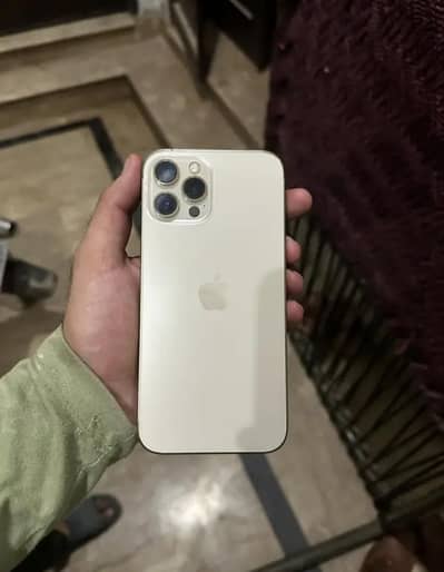 Apple iPhone 12 Pro Max