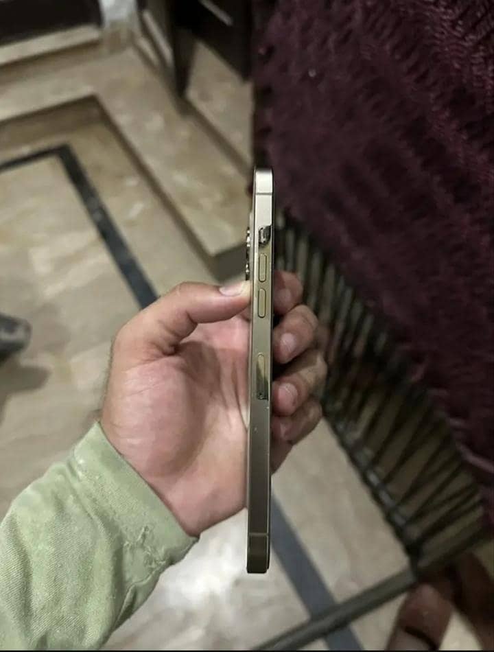 Apple iPhone 12 Pro Max 1