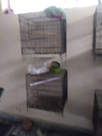 Cages for Sale Condition good