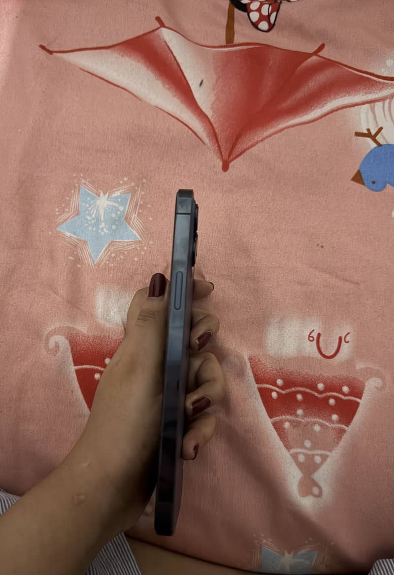 Apple iPhone 12 Pro Max 1