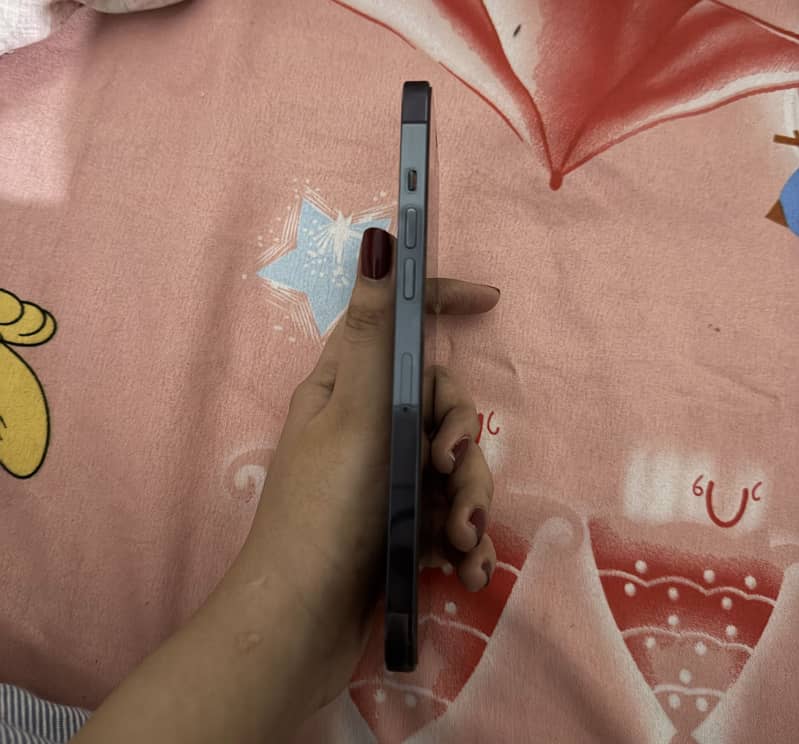 Apple iPhone 12 Pro Max 4