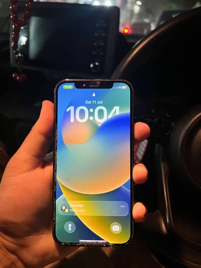 12 PRO PTA APPROVED 256gb