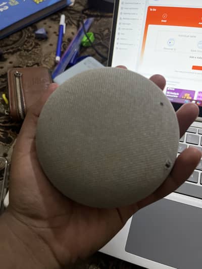 Google home mini