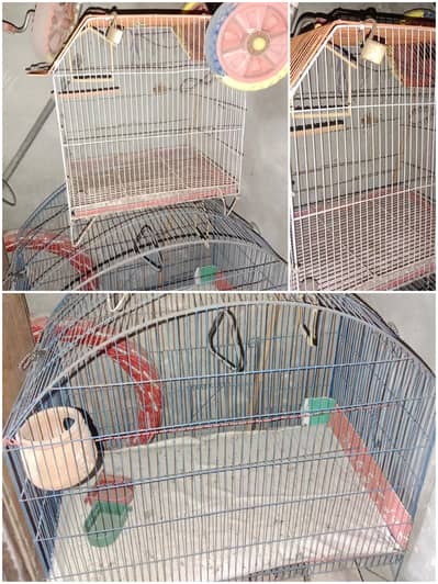 Bird's cage