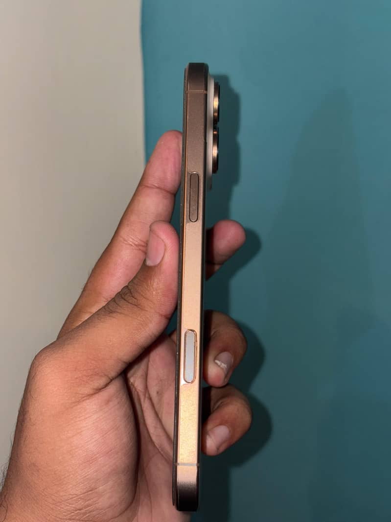 Apple iPhone 16 Pro Max 1
