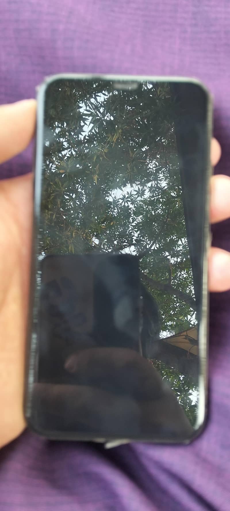 Apple iPhone XS 1