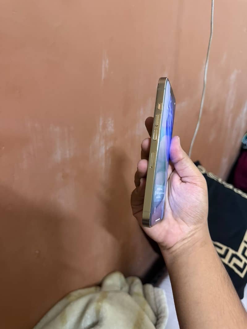 Apple iPhone 13 Pro 0