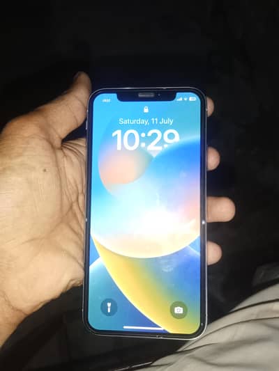 Apple iPhone X