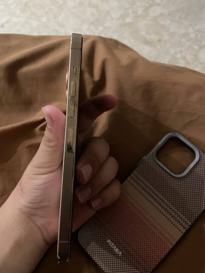 Apple iPhone 13 Pro Max 2