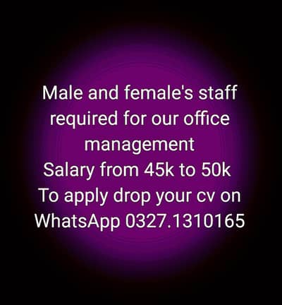 Fresh &Experienced staff required for office management and data entry
