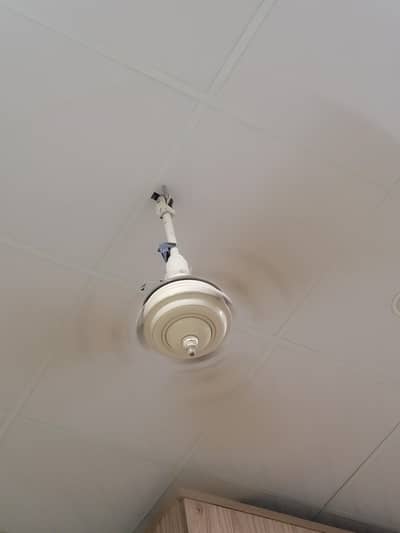 old fan