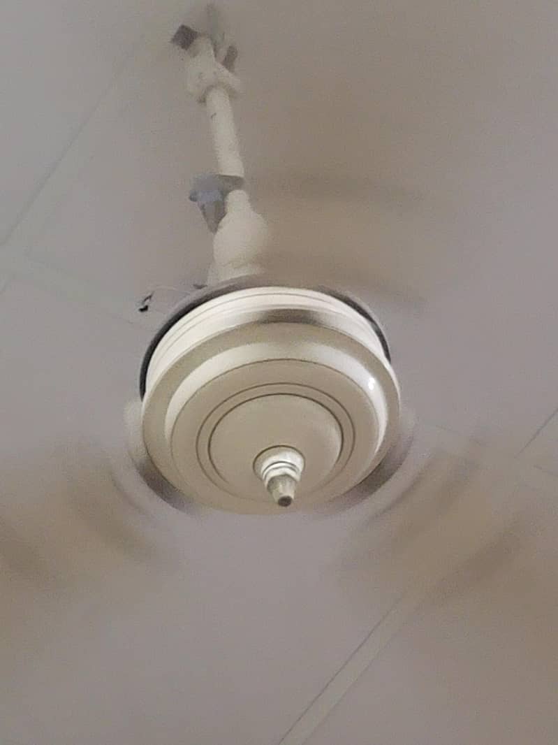 old fan 1