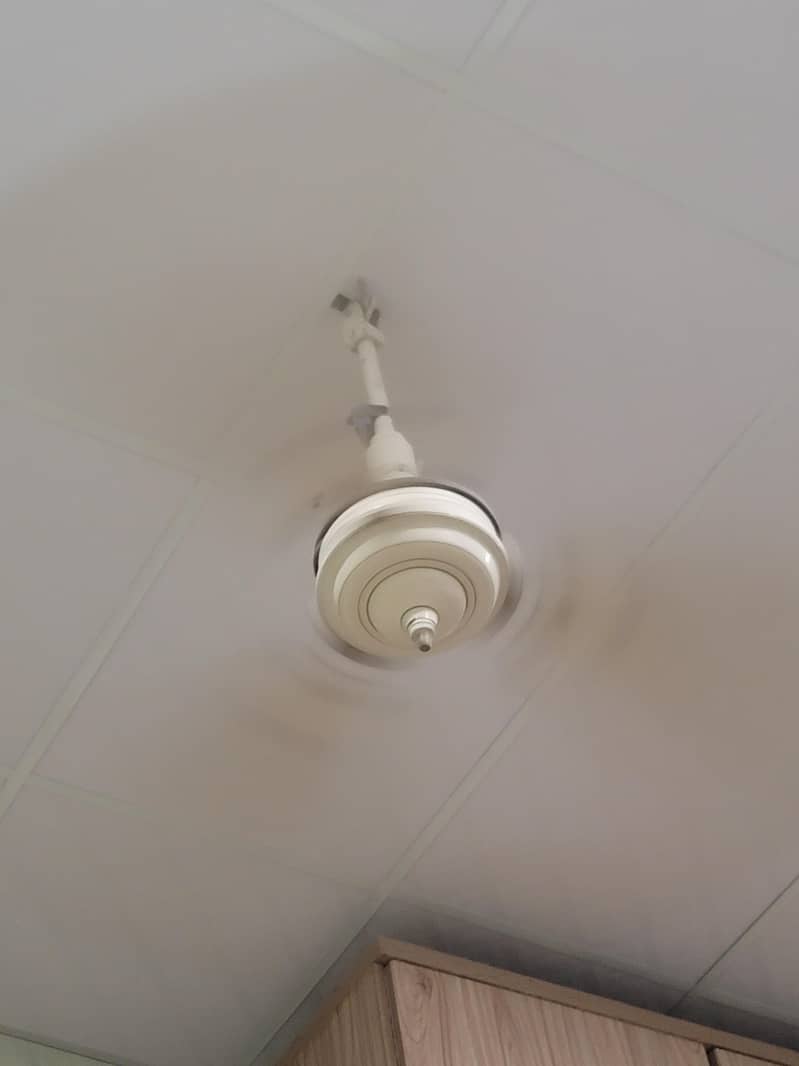 old fan 2