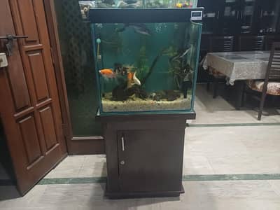 aquarium