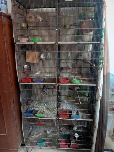 Cage 8 Portion with Birds