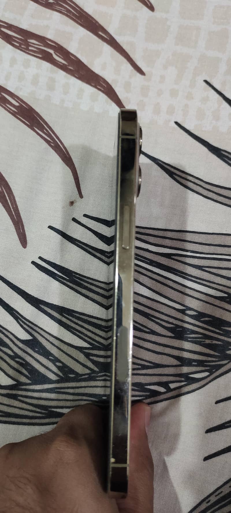Apple iPhone 12 Pro Max 1