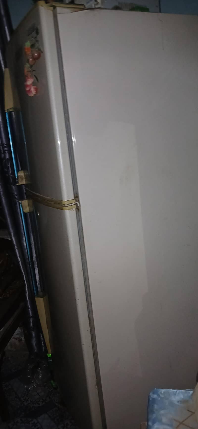 PEL FRIDGE 2