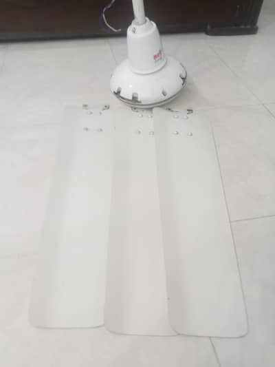 Two  56" Ceiling Fans for Sale – GFC & Royal