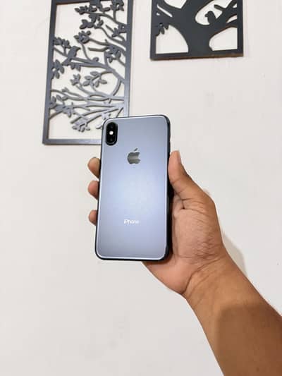 Apple iPhone X