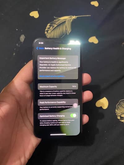 Apple iPhone X