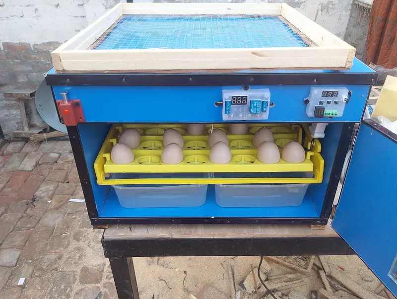 56 eggs automatic incubator 